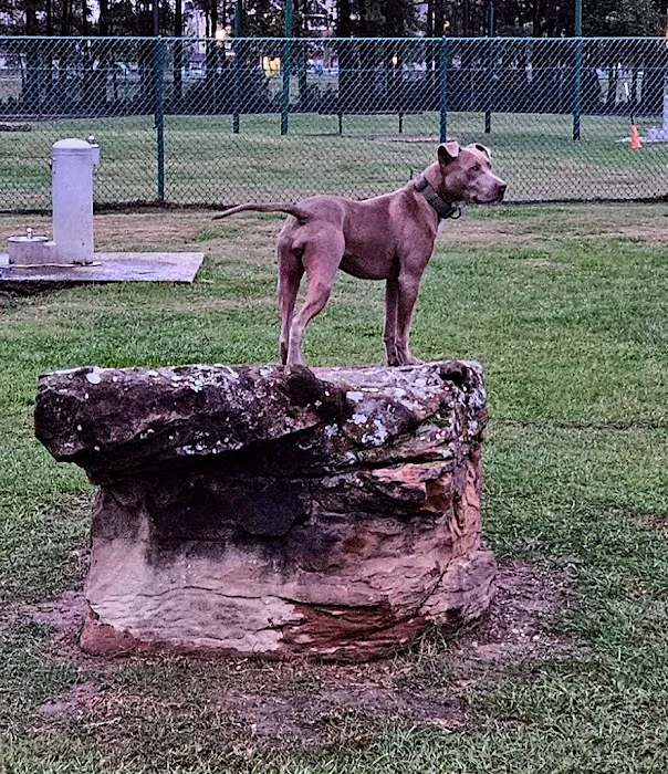 Highlands Animal Clinic Picture 5