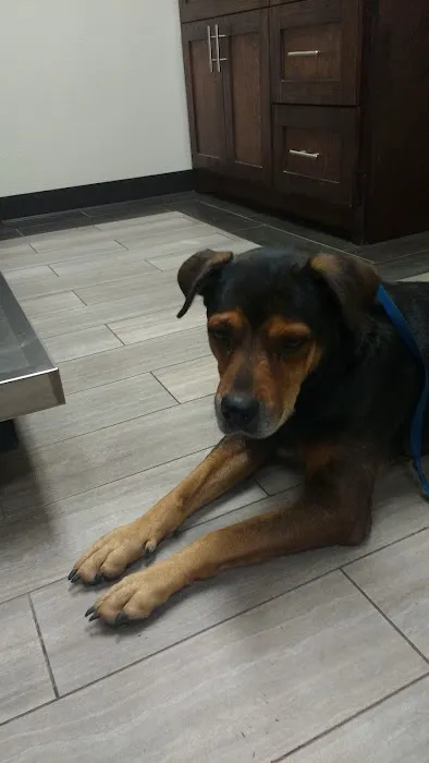 Highlands Animal Clinic Picture 9