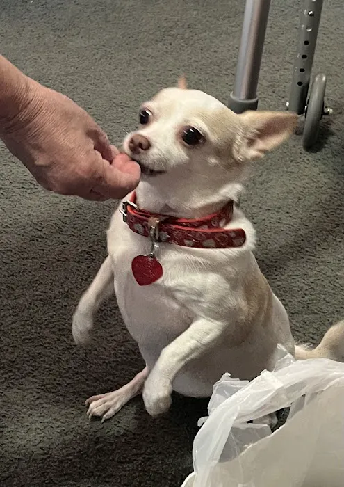 Banfield Pet Hospital Picture 7