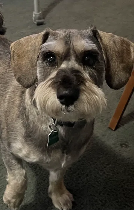 Banfield Pet Hospital Picture 3