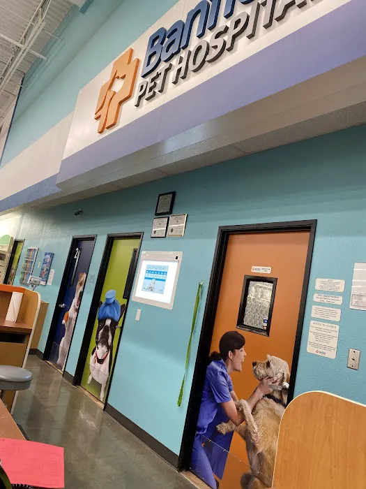 Banfield Pet Hospital Picture 6