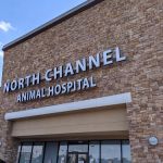 North Channel Animal Hospital