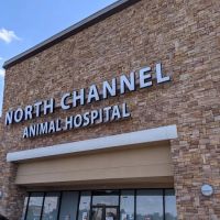 North Channel Animal Hospital ico