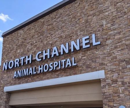 North Channel Animal Hospital