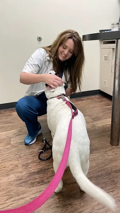 North Channel Animal Hospital Picture 5