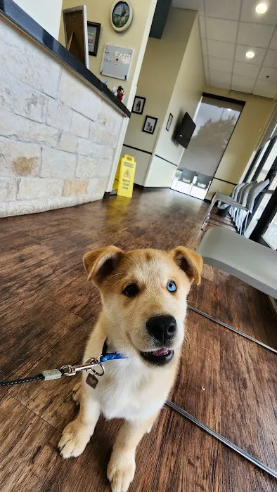 North Channel Animal Hospital Picture 10