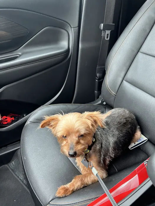 North Channel Animal Hospital Picture 7