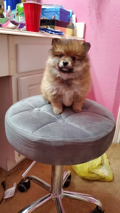 Beltway Animal Hospital PC Picture 2