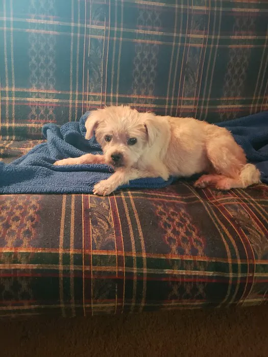 Beltway Animal Hospital PC Picture 1