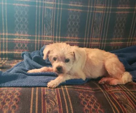 Beltway Animal Hospital PC