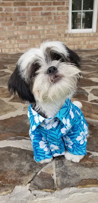 Beltway Animal Hospital PC Picture 7