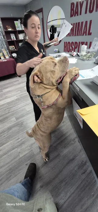 Baytown Animal Hospital Picture 4