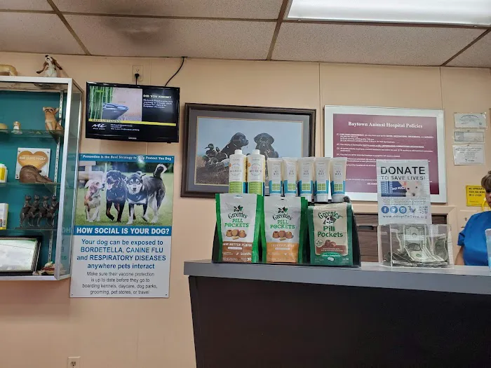 Baytown Animal Hospital Picture 6