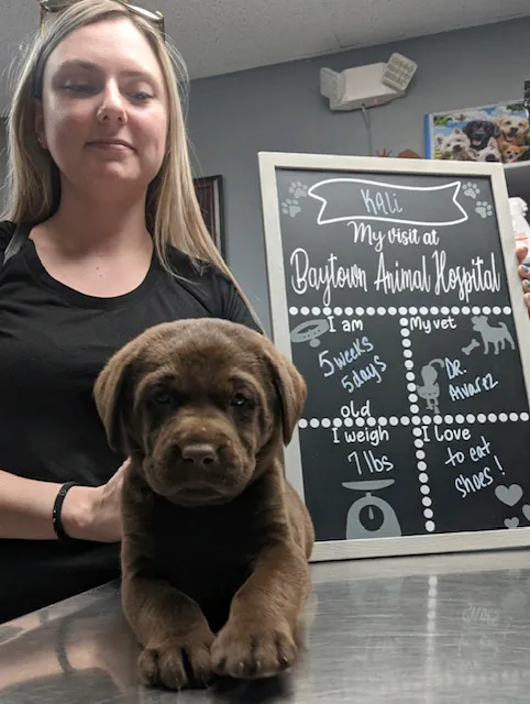 Baytown Animal Hospital Picture 7