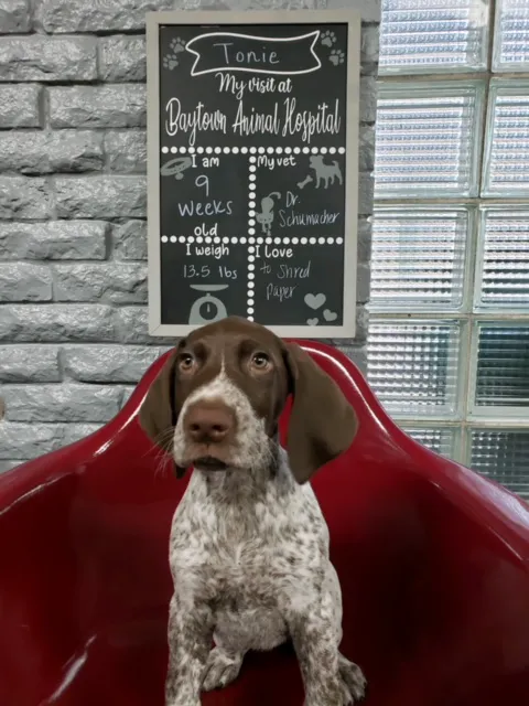 Baytown Animal Hospital Picture 10