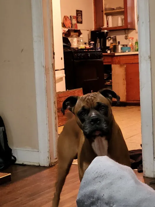 Northshore Animal Hospital, Inc. Picture 1