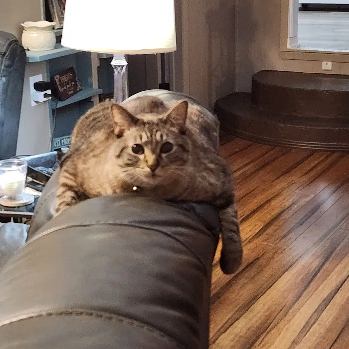 Snook Veterinary Clinic Picture 2