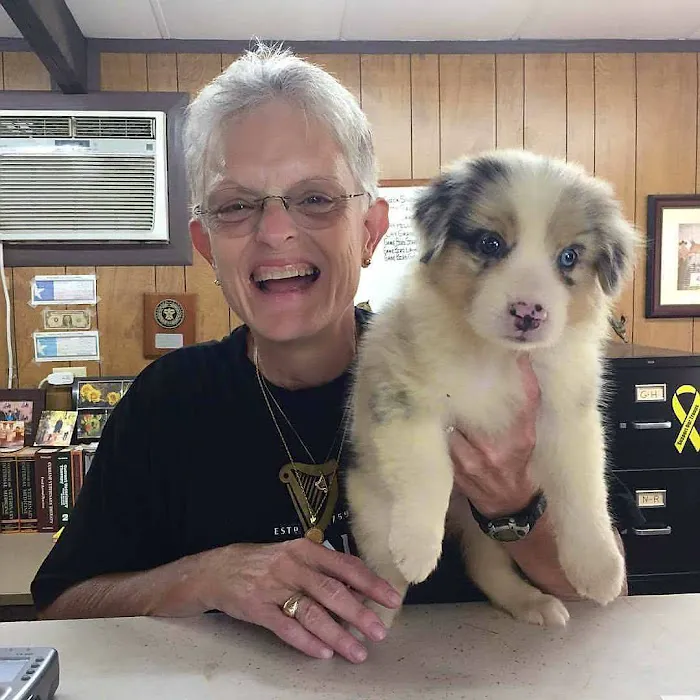 Snook Veterinary Clinic Picture 7