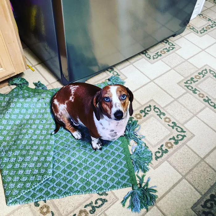 Snook Veterinary Clinic Picture 6