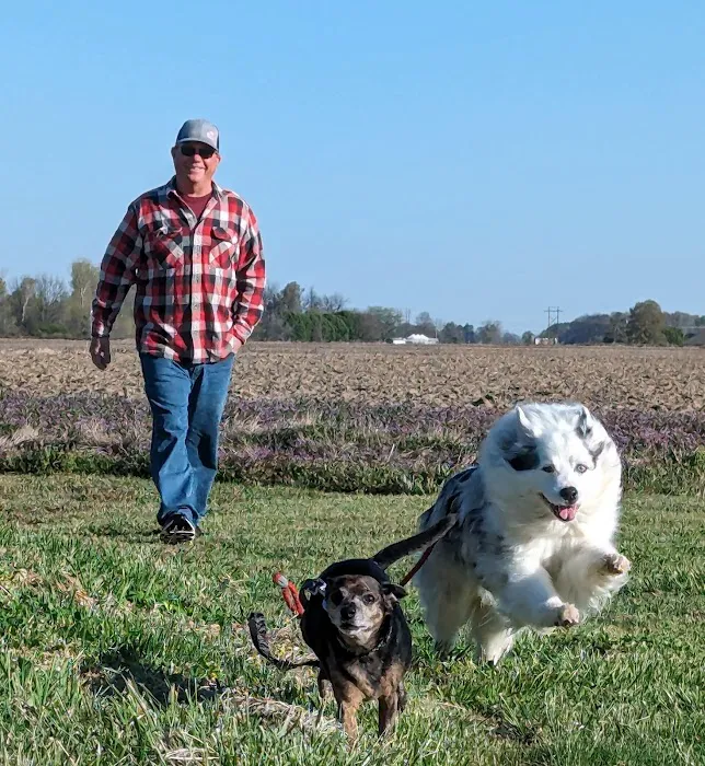 Veterinary Medical Arts Center Picture 6