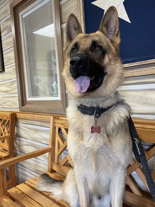 Veterinary Medical Arts Center Picture 3