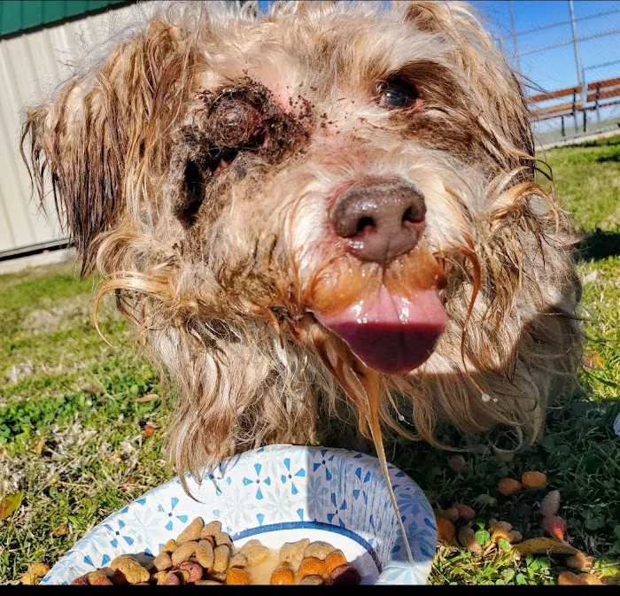 Veterinary Medical Arts Center Picture 4