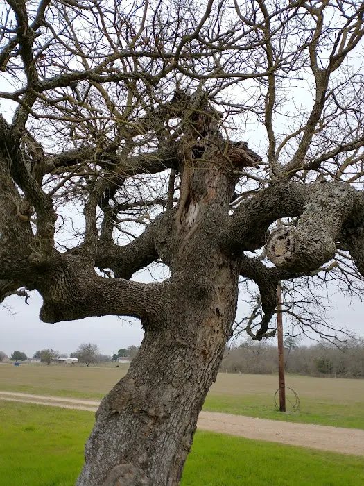 Veterinary Medical Arts Center Picture 9