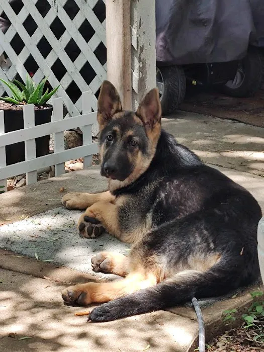 Veterinary Medical Arts Center Picture 8