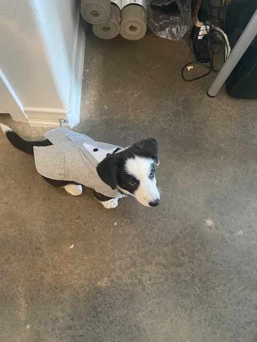 Veterinary Medical Arts Center Picture 7