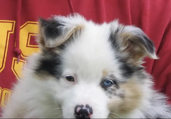 Veterinary Medical Arts Center Picture 10