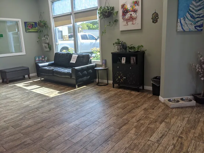 All Vet Care Animal Hospital and Rehabilitation Picture 1