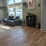 All Vet Care Animal Hospital and Rehabilitation