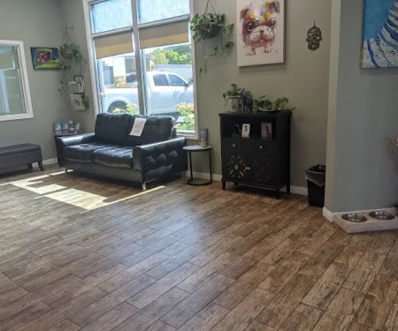 All Vet Care Animal Hospital and Rehabilitation