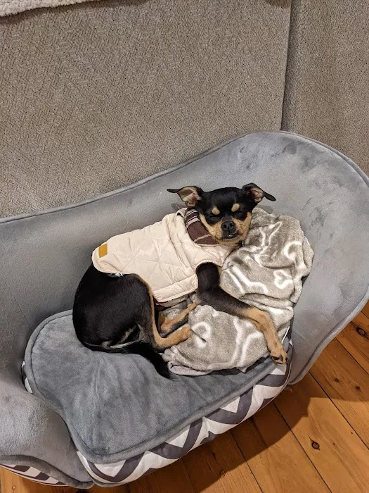 All Vet Care Animal Hospital and Rehabilitation Picture 4