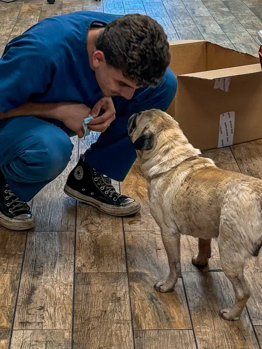 All Vet Care Animal Hospital and Rehabilitation Picture 10