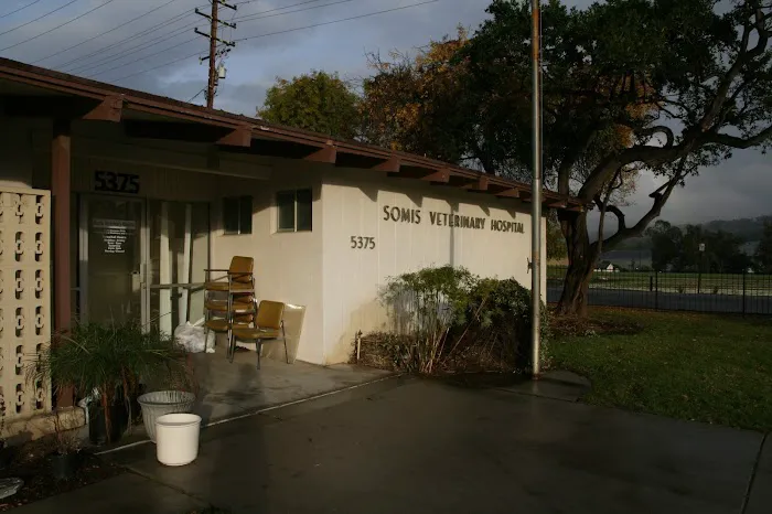 Somis Veterinary Hospital Picture 9