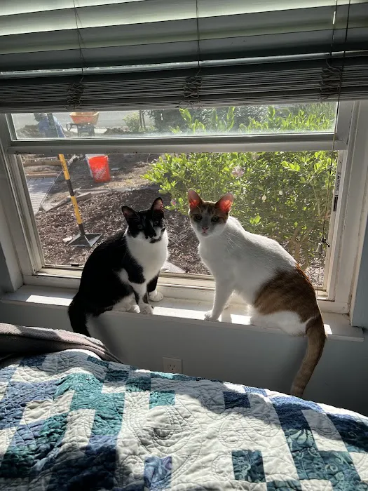 Dr. Battier's Veterinary Clinic Picture 1