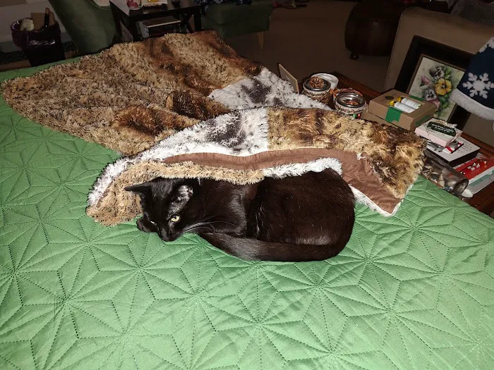 Dr. Battier's Veterinary Clinic Picture 4