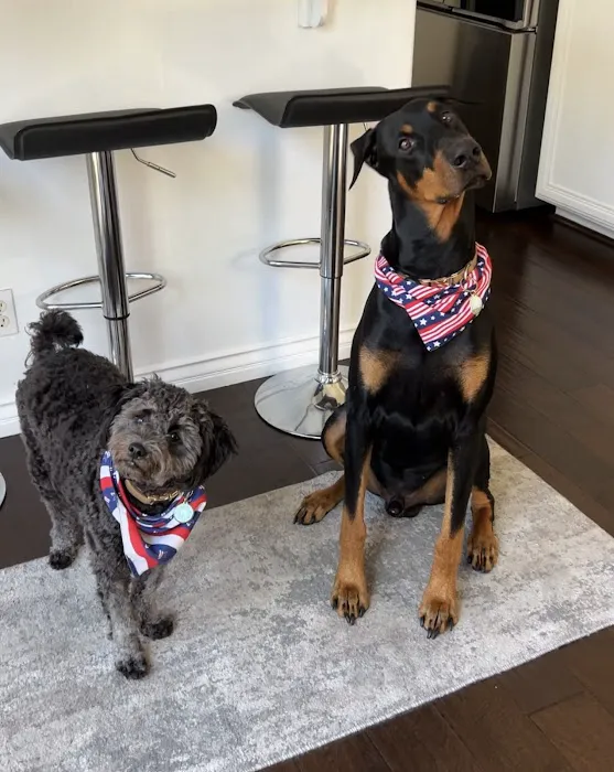 Dr. Battier's Veterinary Clinic Picture 7