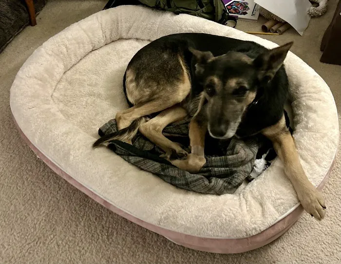 Dr. Battier's Veterinary Clinic Picture 8