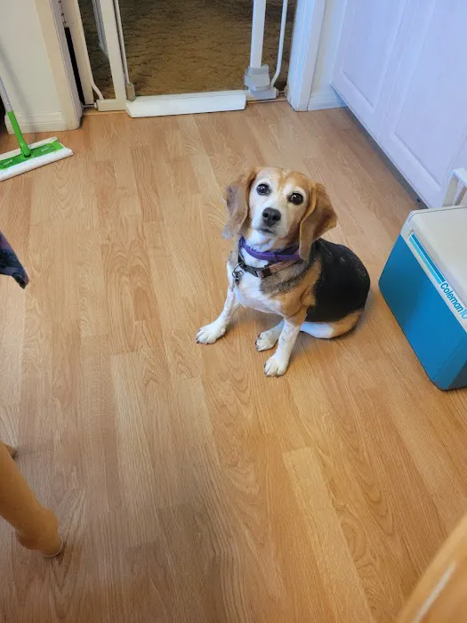 Dr. Battier's Veterinary Clinic Picture 10