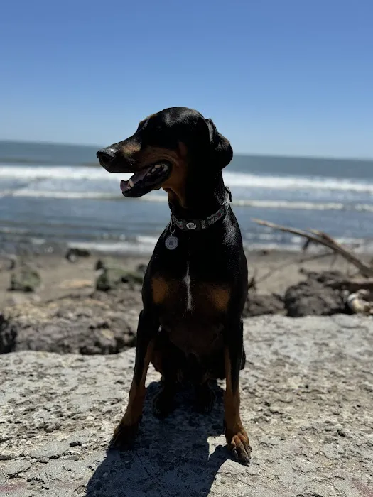 Dr. Battier's Veterinary Clinic Picture 9