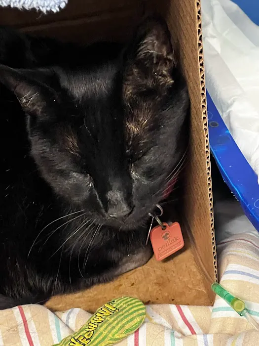 Camarosa Veterinary Clinic Picture 4