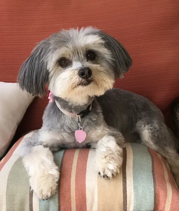 Camarillo Veterinary Hospital Picture 2