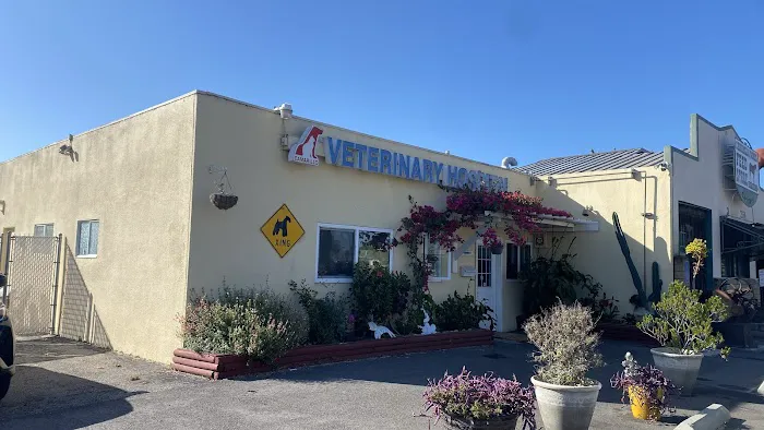 Camarillo Veterinary Hospital Picture 1
