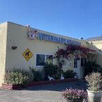 Camarillo Veterinary Hospital