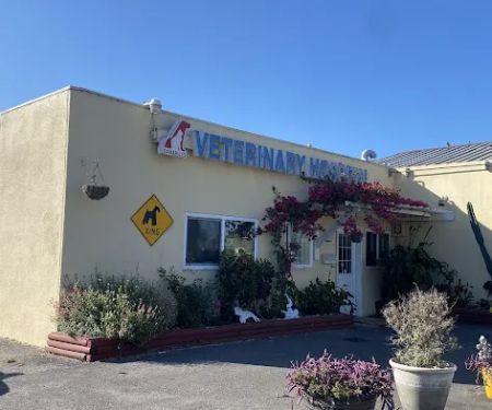 Camarillo Veterinary Hospital