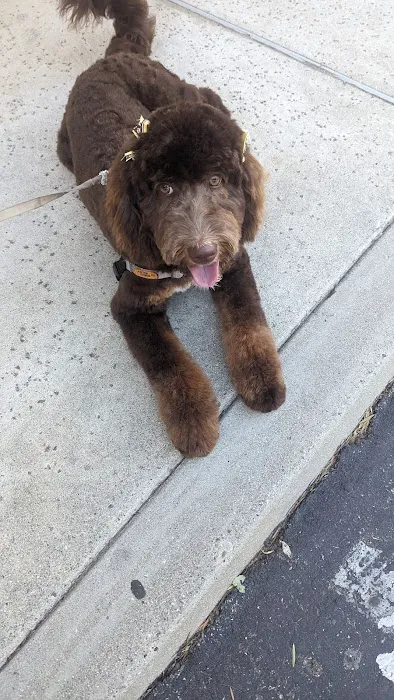 Camarillo Veterinary Hospital Picture 4