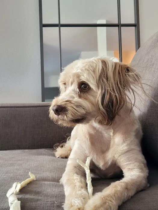 Camarillo Veterinary Hospital Picture 5