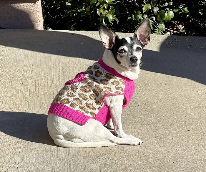 Camarillo Veterinary Hospital Picture 7